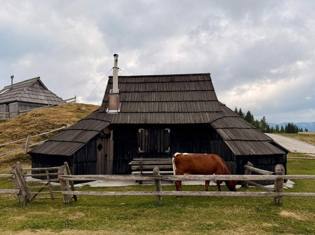 Velika Planina-Stahovica必去景点
