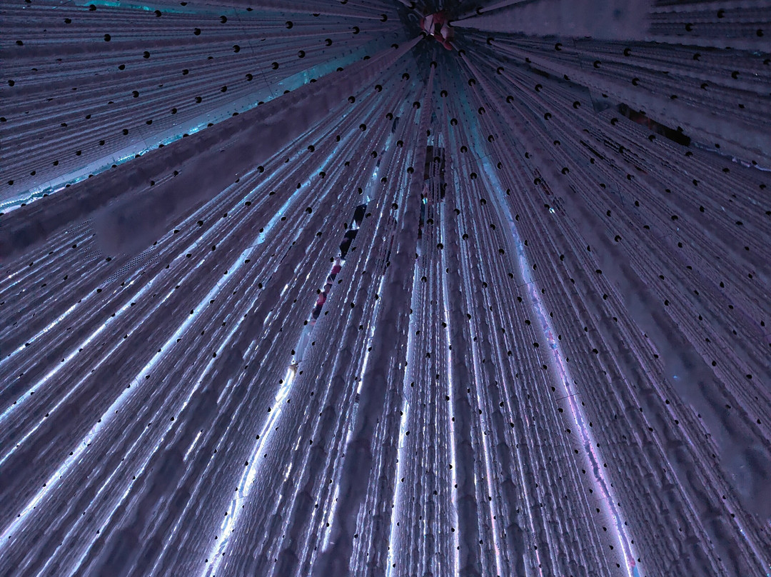 teamLab Planets TOKYO-Toyosu必去景点