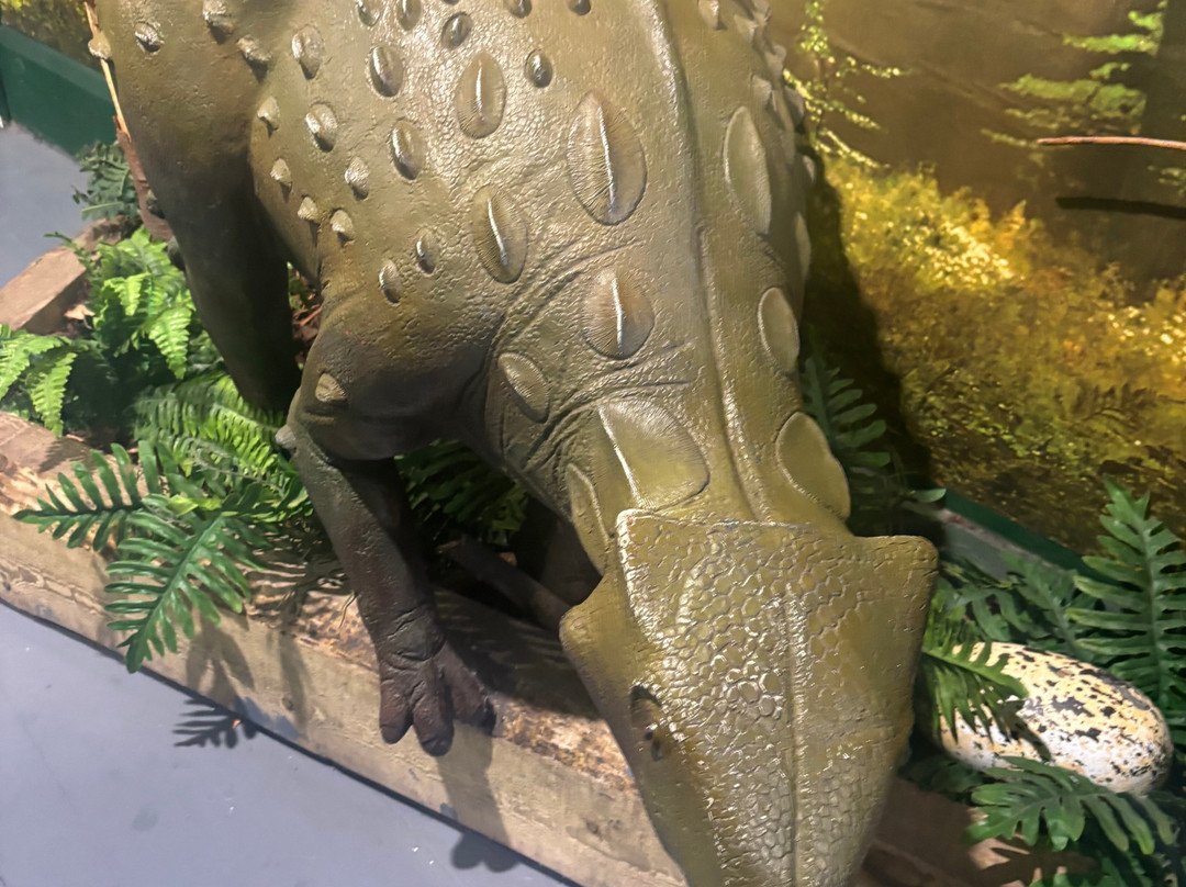 Torquays Dinosaur World-托基必去景点