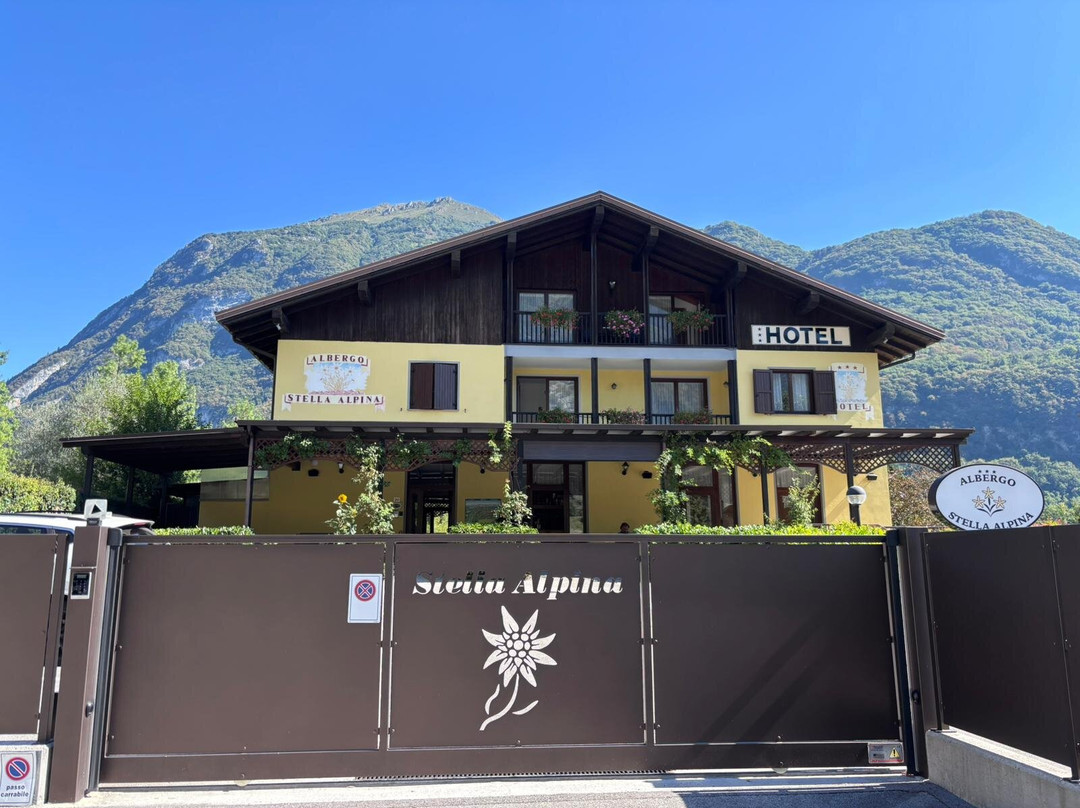 Hotel Stella Alpina主图