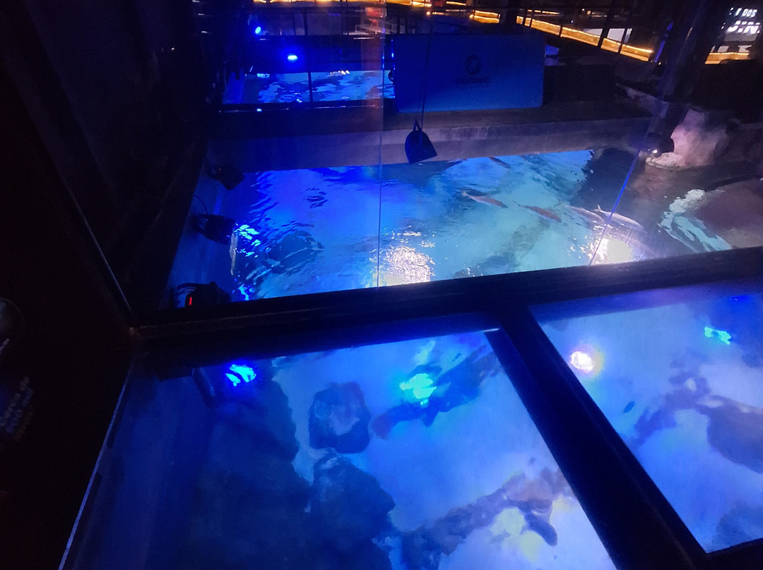 Oceanic Aquarium-康泊琉海水浴场必去景点