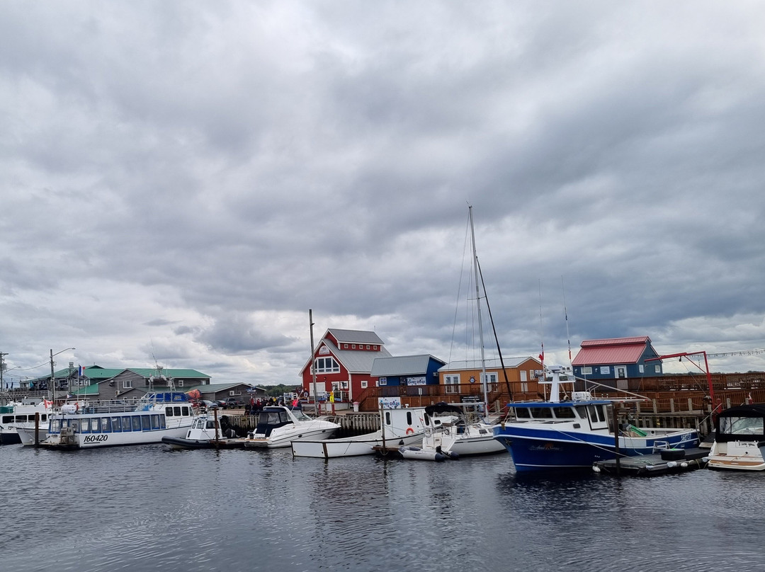 Croisieres Shediac Bay Cruises-Pointe-du-Chene必去景点
