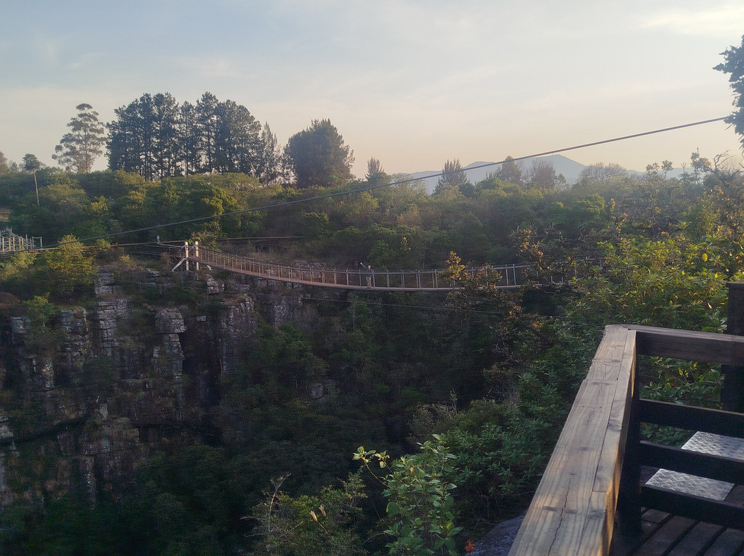 Graskop Gorge Lift Company-赫拉斯科普必去景点