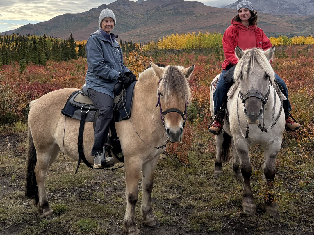 Denali Horseback Tours-德纳利国家公园和自然保护区必去景点