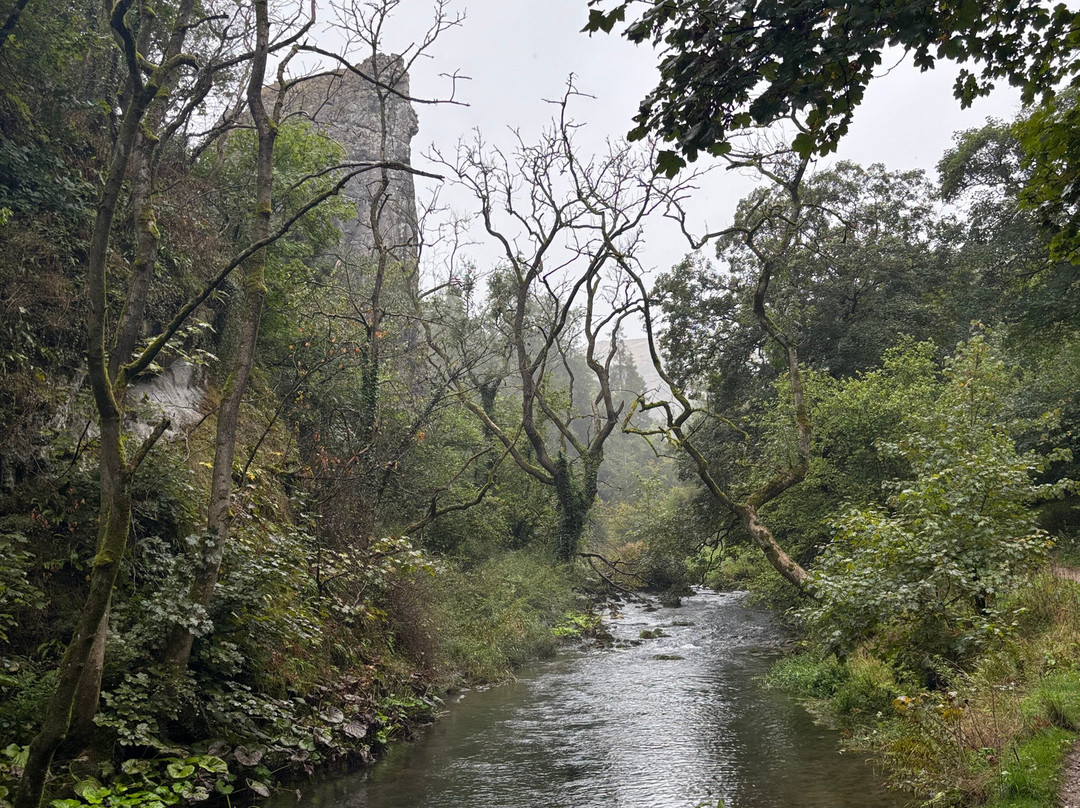 Dovedale-阿什伯恩必去景点