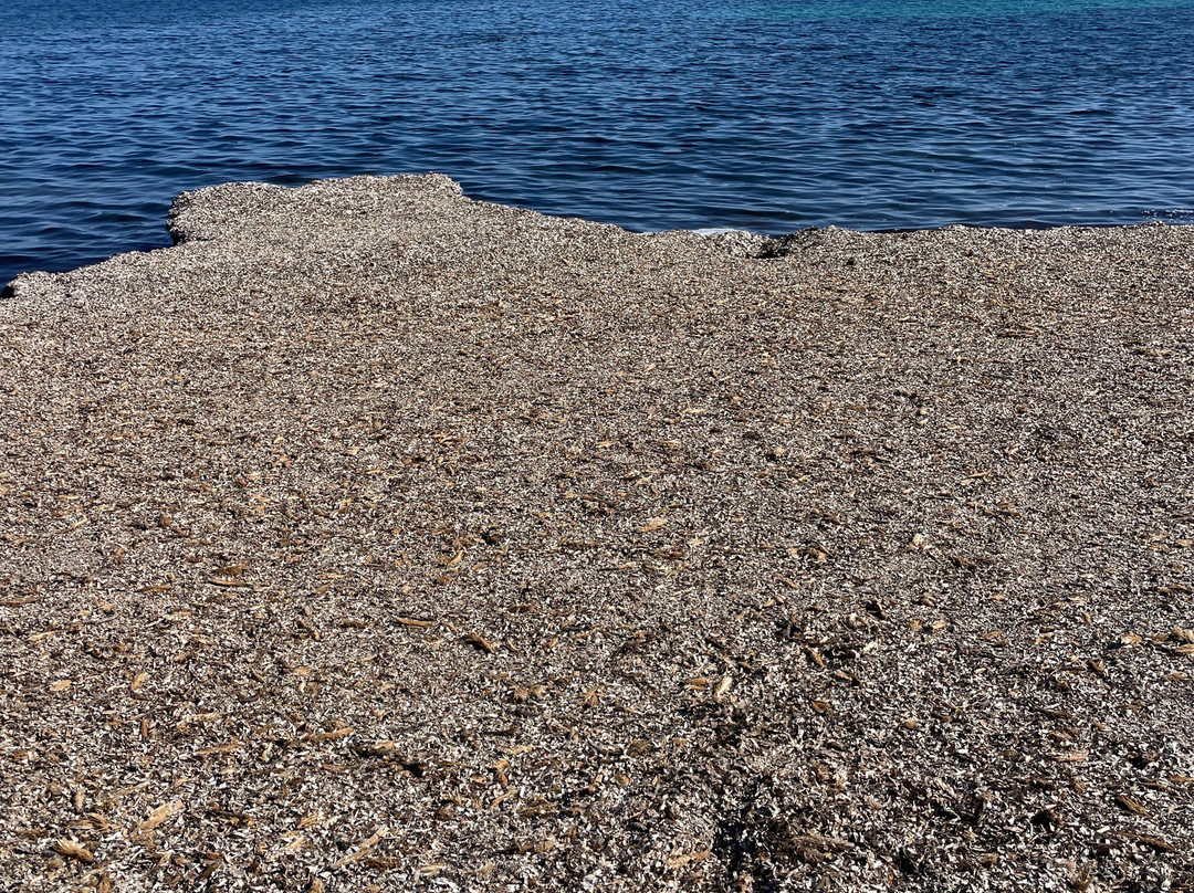 Spiaggia di Porto Ainu-Budoni必去景点