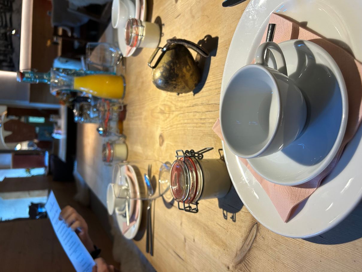 魔锐维特酒店-旅行者