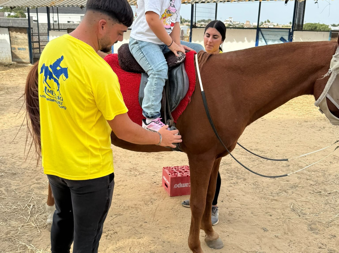 Al-Mesquid Stables-Sanlucar de Barrameda必去景点