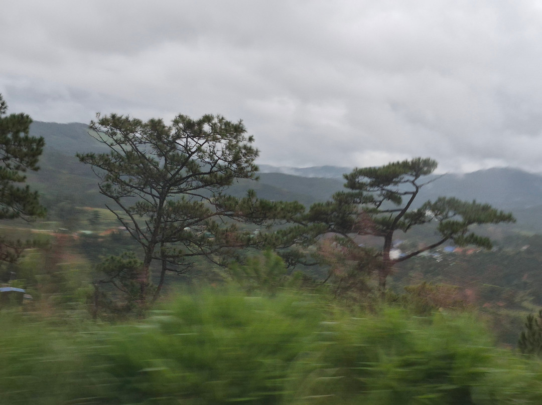 Amega Tour and general trading company limited-河内必去景点