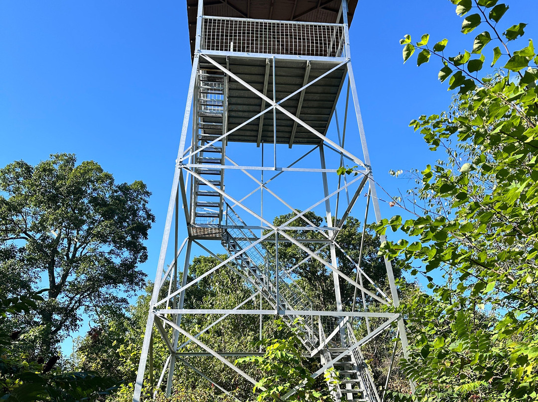 Woodstock Tower Observation Site-Woodstock必去景点