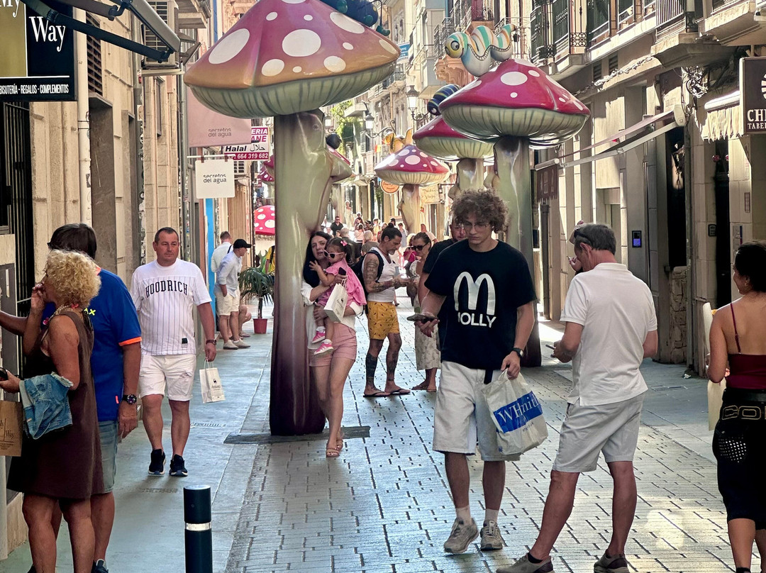 Calle de Las Setas-阿利坎特省必去景点