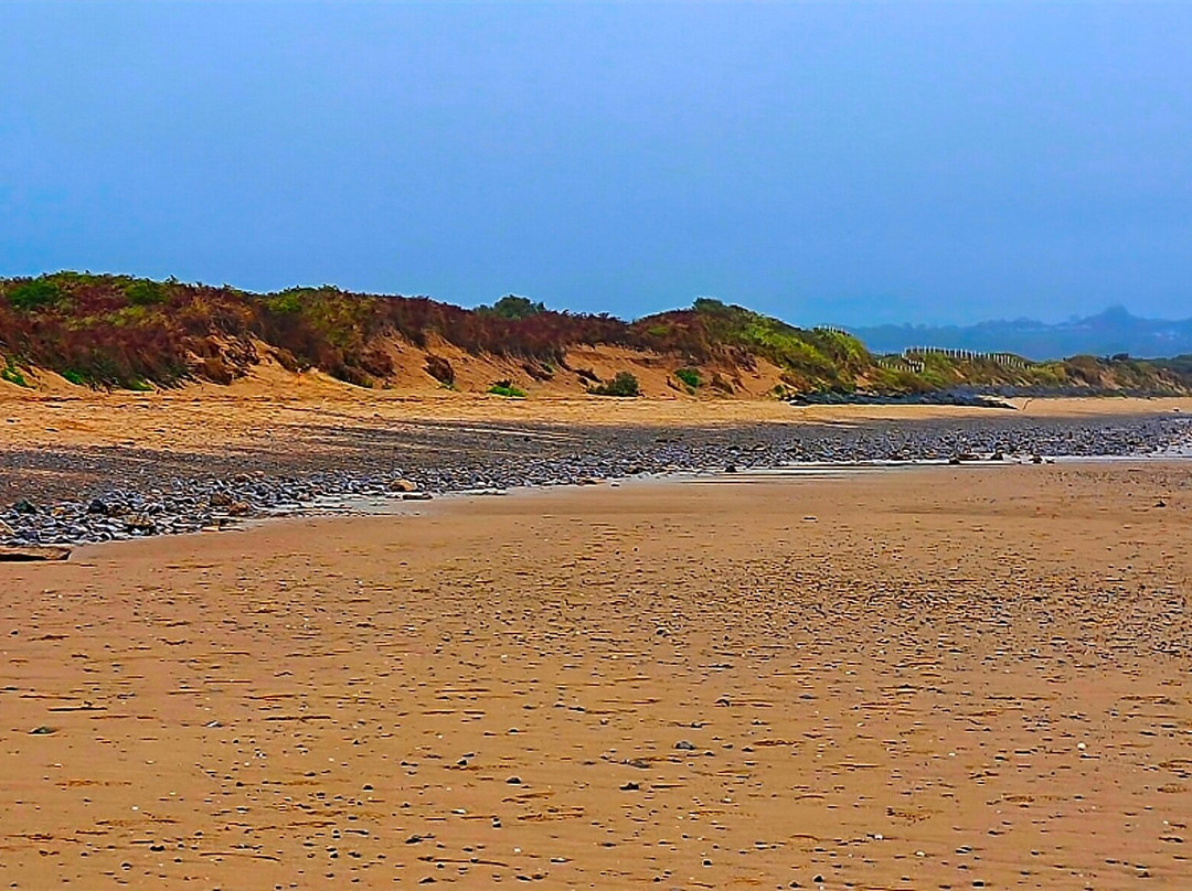 威奇伍德宾馆主图