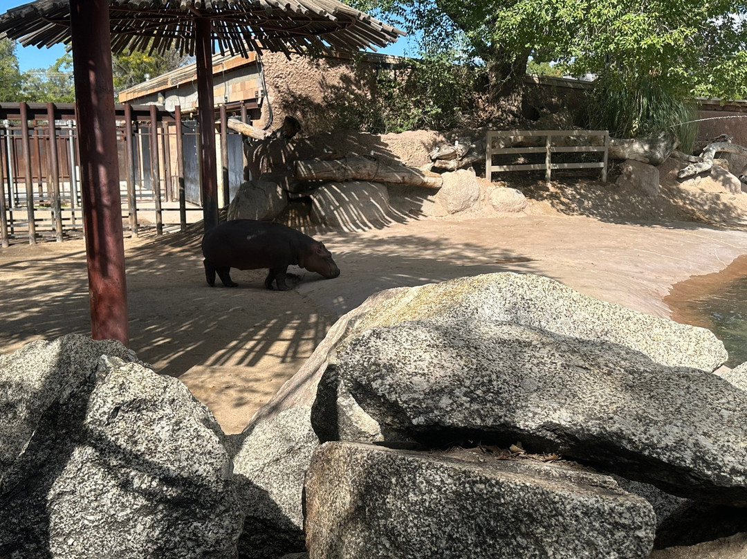 ABQ BioPark Zoo-阿尔伯克基必去景点