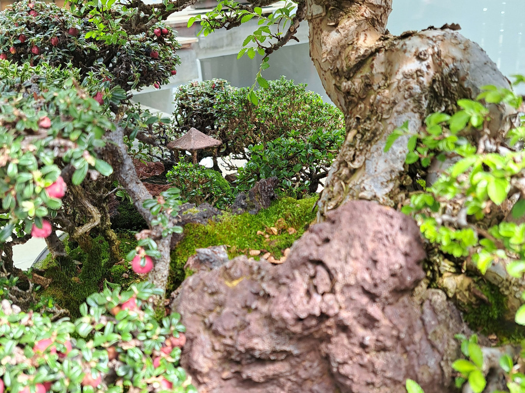 澳大利亚国家植物园-堪培拉必去景点