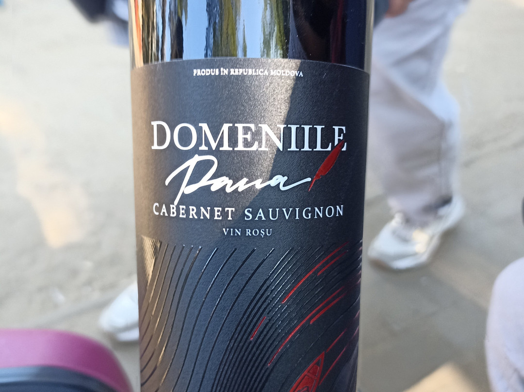 Domeniile Pană-Cahul必去景点