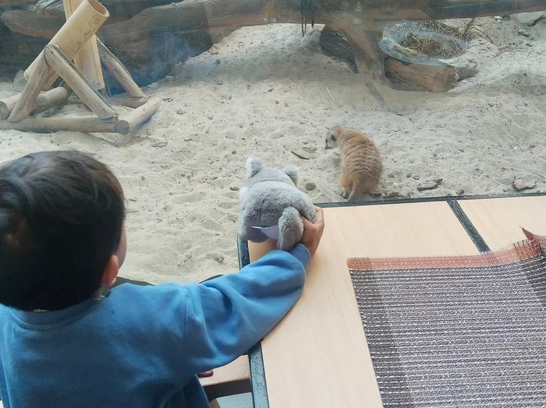 皇家狩猎花园度假村会议中心主图