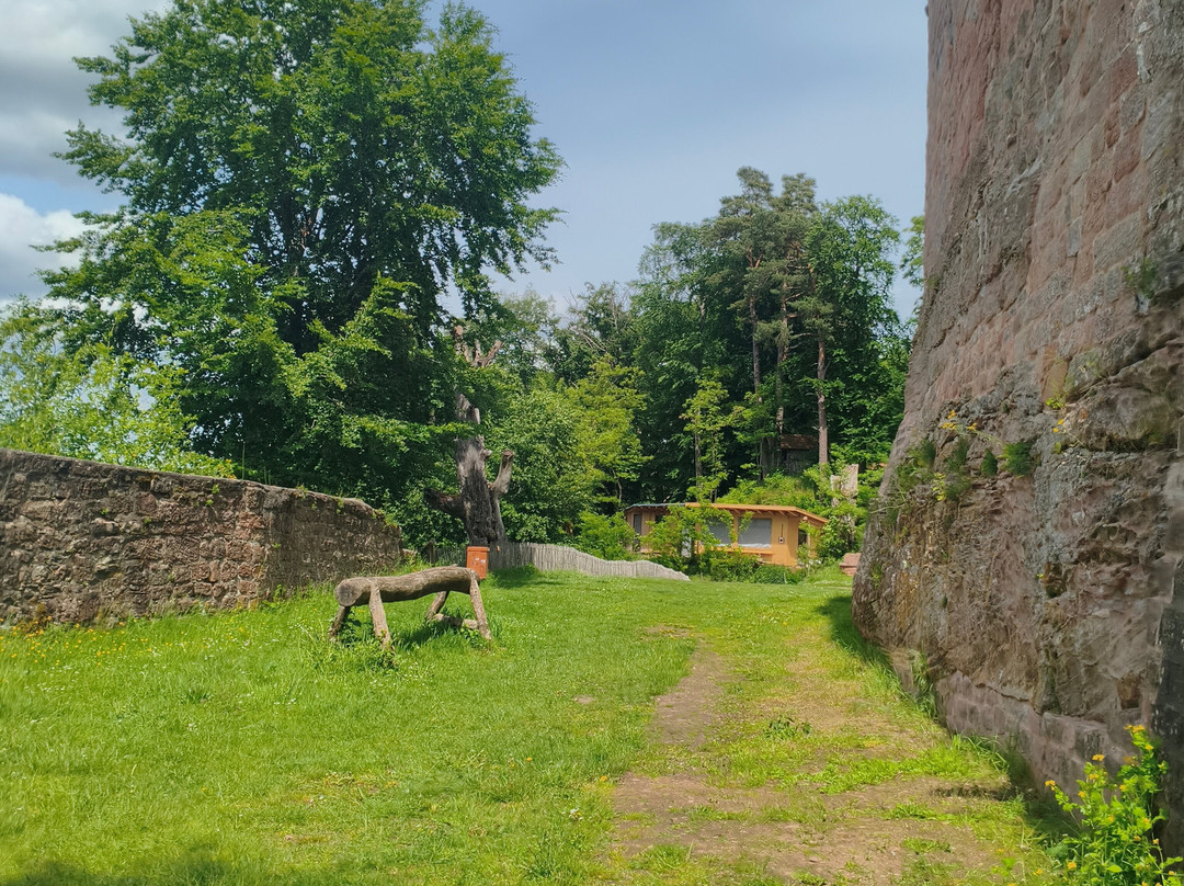 Burg Hohenecken-凯撒斯劳滕必去景点