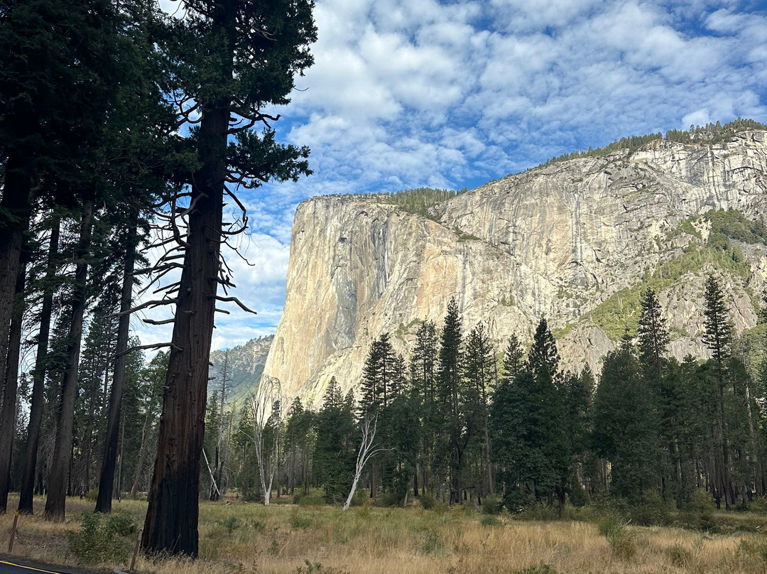 El Capitan-优胜美地国家公园必去景点
