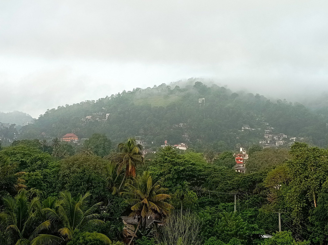 Compass Lanka Tours-Yakkala必去景点