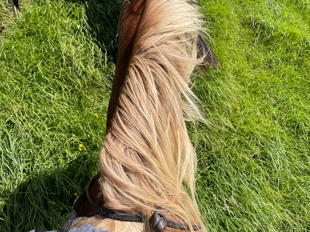 Na'alapa Stables - Kahua Ranch-卡慕也拉必去景点