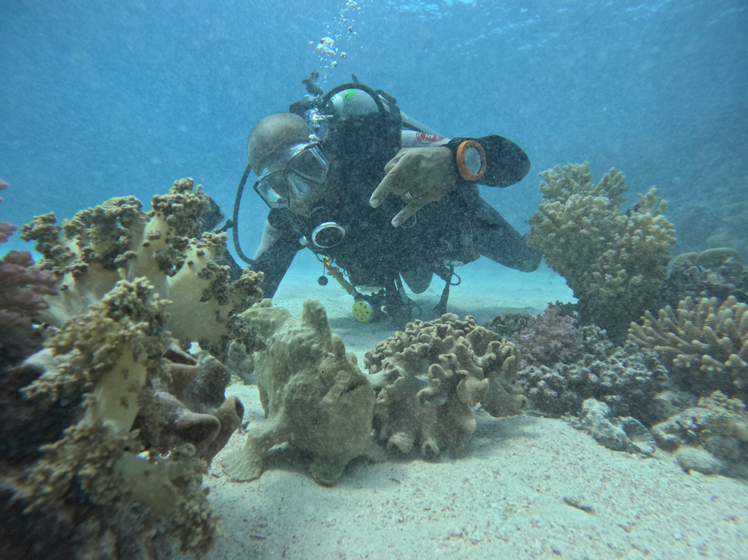 House Reef-Neuendorf必去景点