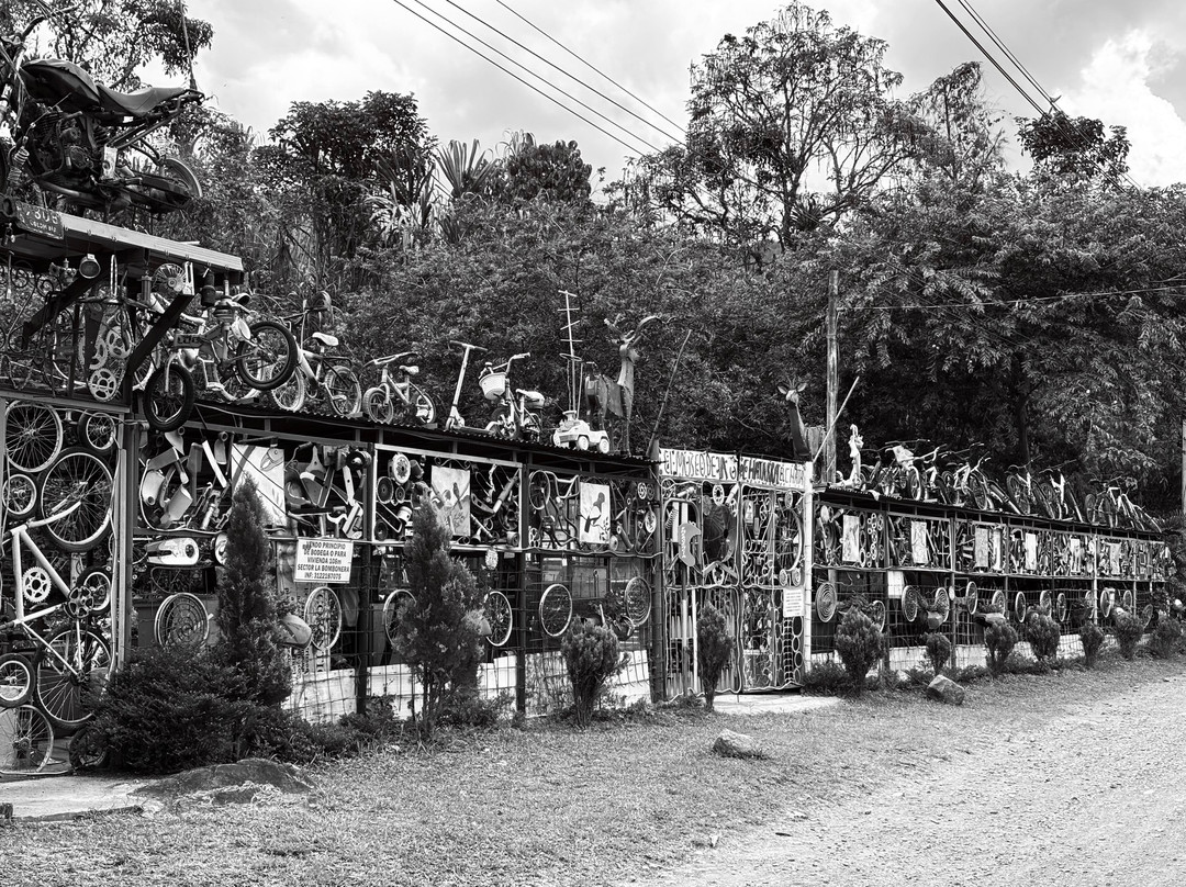 Jardín