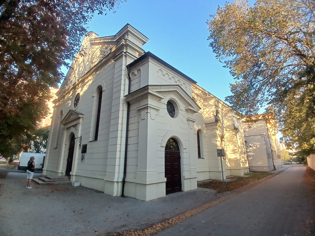 Levice Synagogue-莱维采必去景点