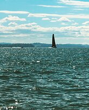 Riverhead Ferry-奥克兰必去景点