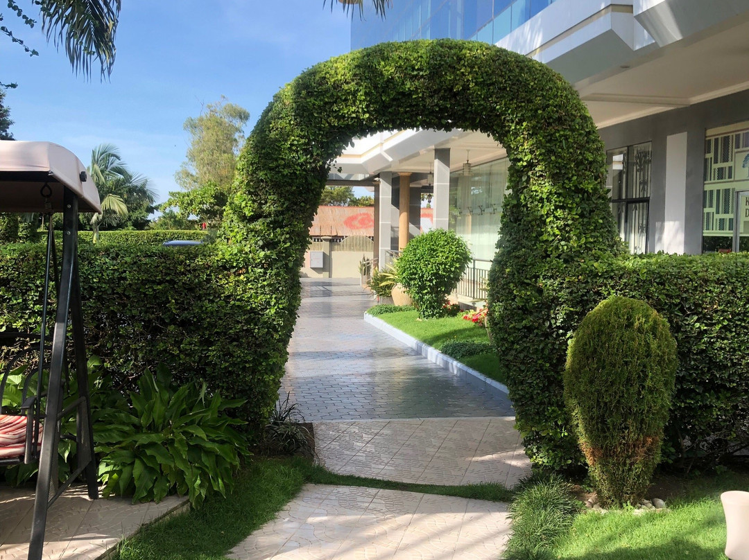 姆万扎酒店住宿-Adden Palace Hotel