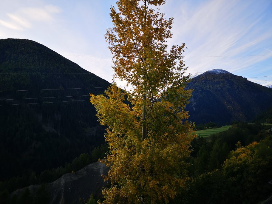 Stelvio酒店住宿-特劳伯餐厅酒店