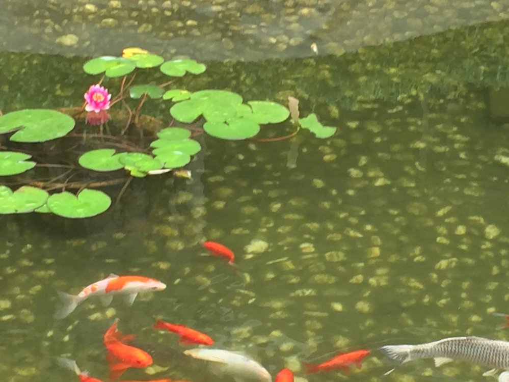 北戴河起士林大饭店-浴室