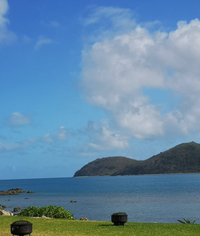 Daydream Island Living Reef景点图片