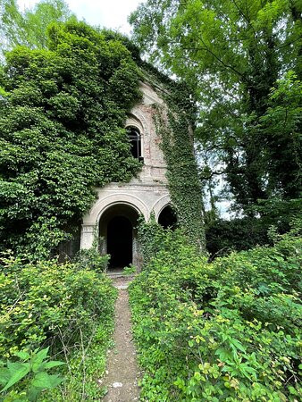 Cimitero abbandonato di Darola景点图片