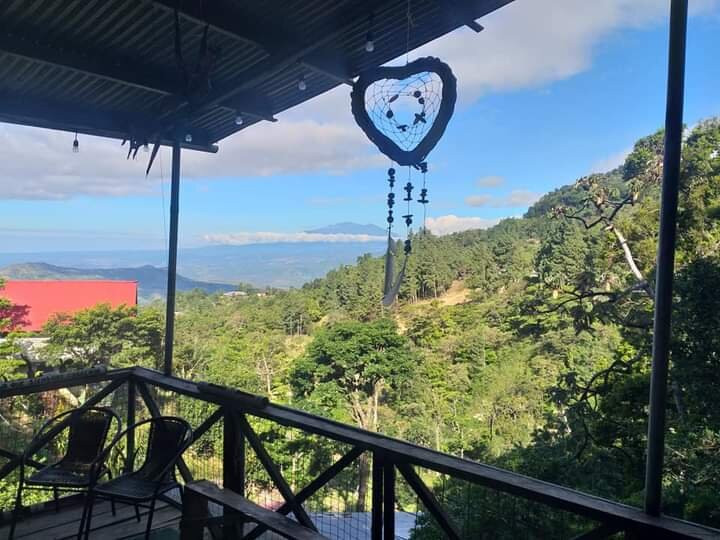 Roots Hostel