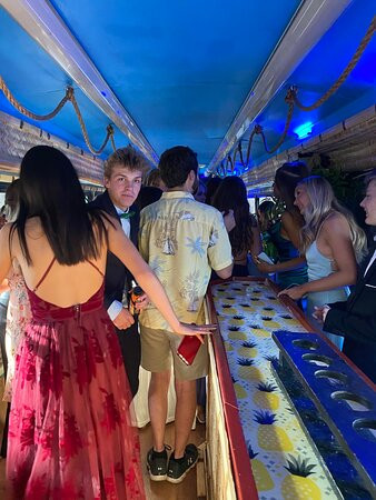 Turtle Bus-丹佛必去景点