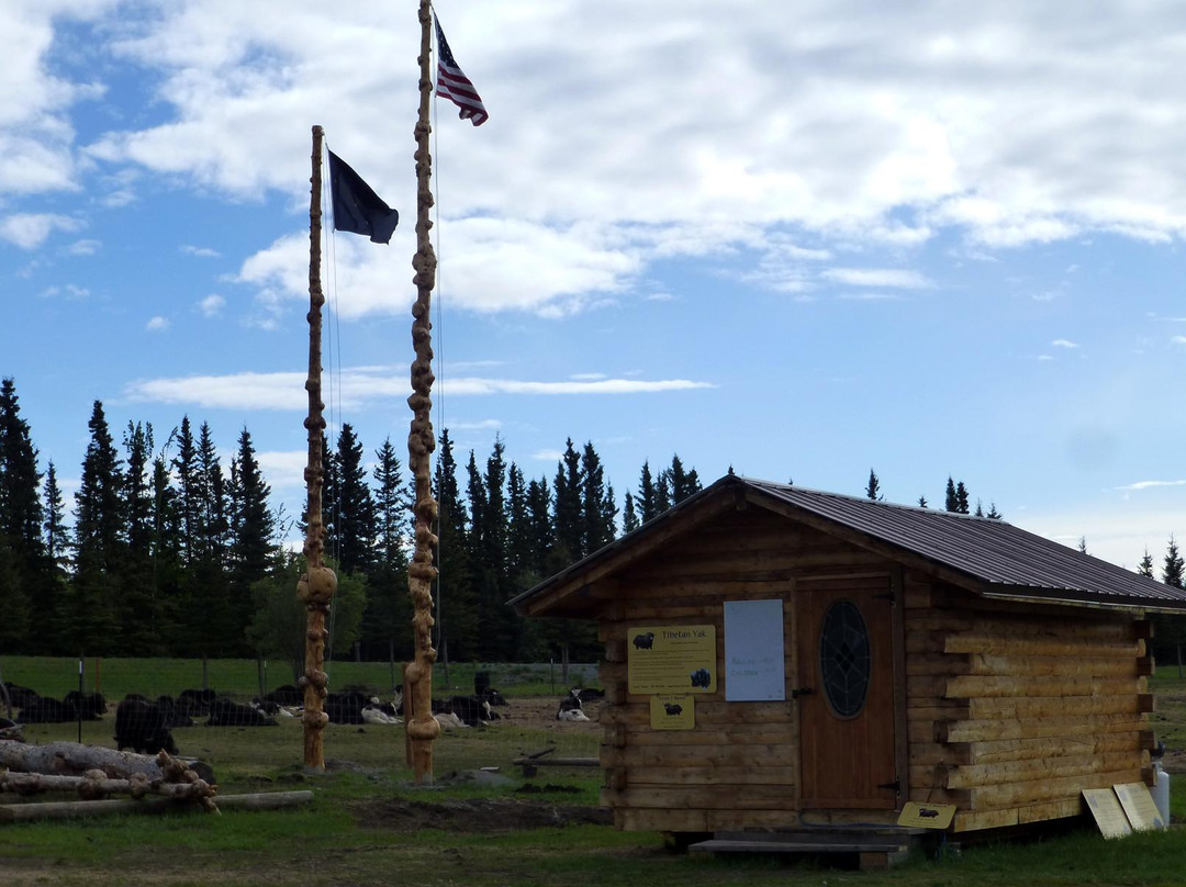 Copper Center旅游景点-Alaska Yaks