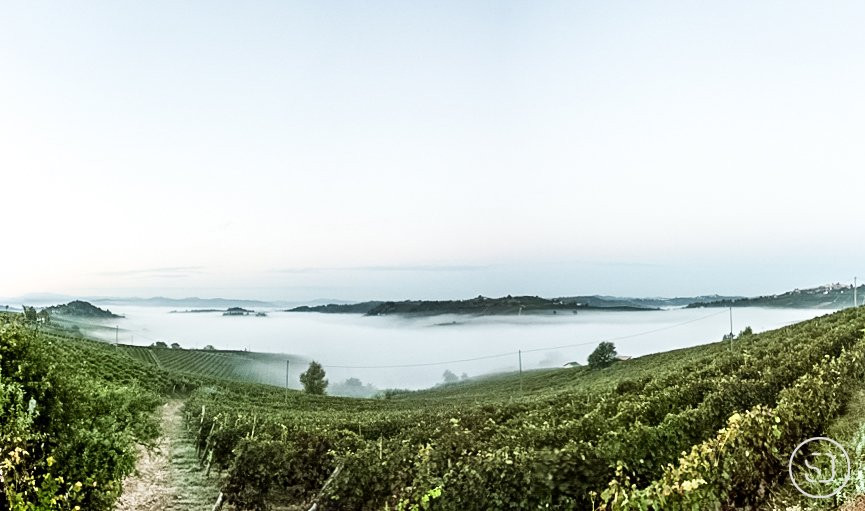 Tre Secoli sca - Viticoltori in Piemonte dal 1887景点图片