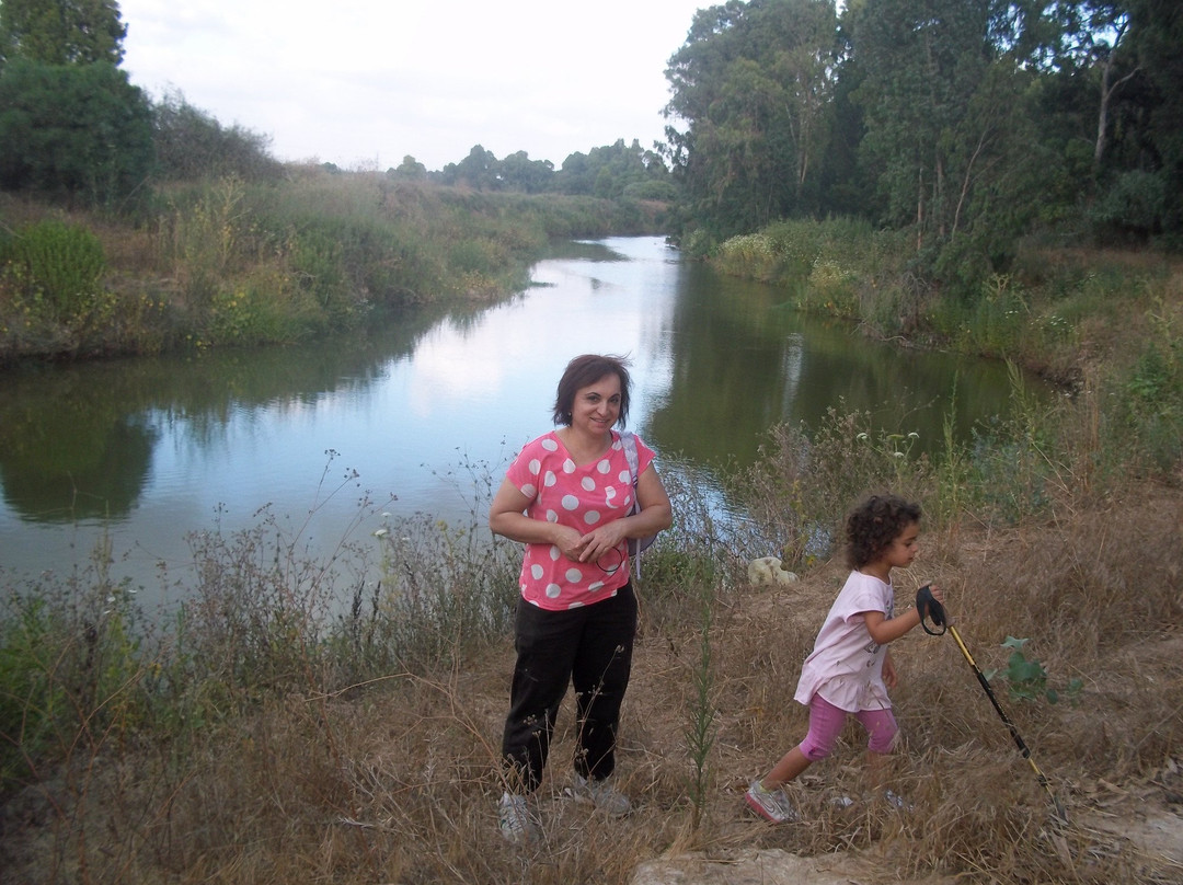 Rubin Stream National Park – The Sorek Stream Estuary景点图片