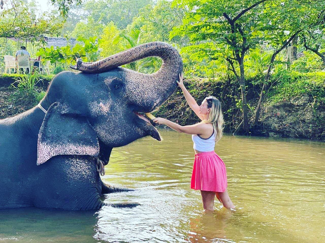 Kashyapa Tours And Travel Sri Lanka-锡吉里亚必去景点