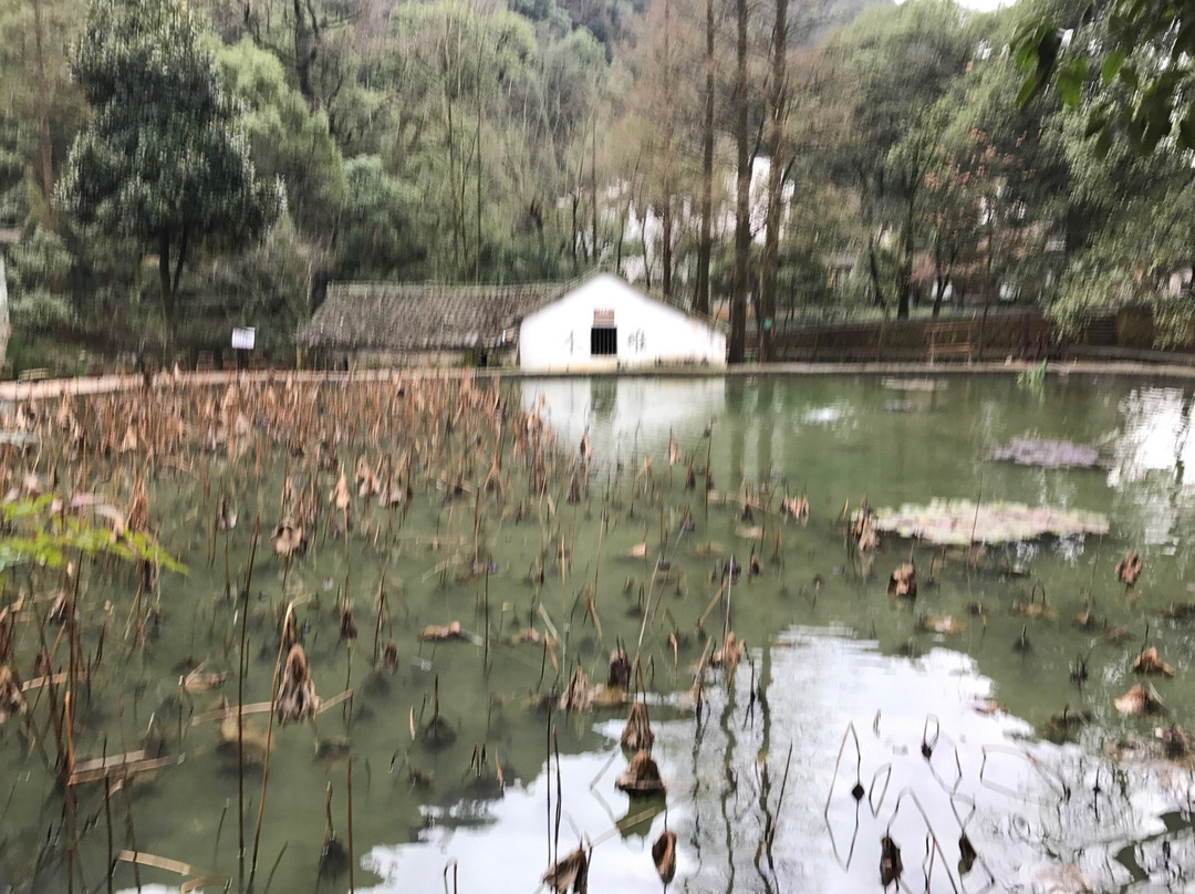 武义县旅游攻略图片