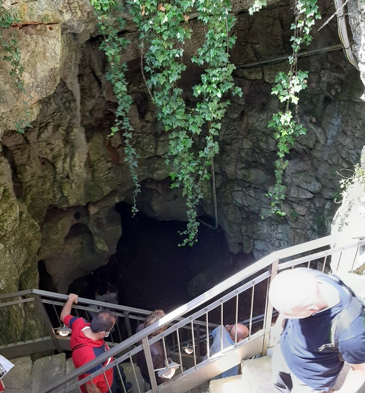 Grotta Gigante景点图片