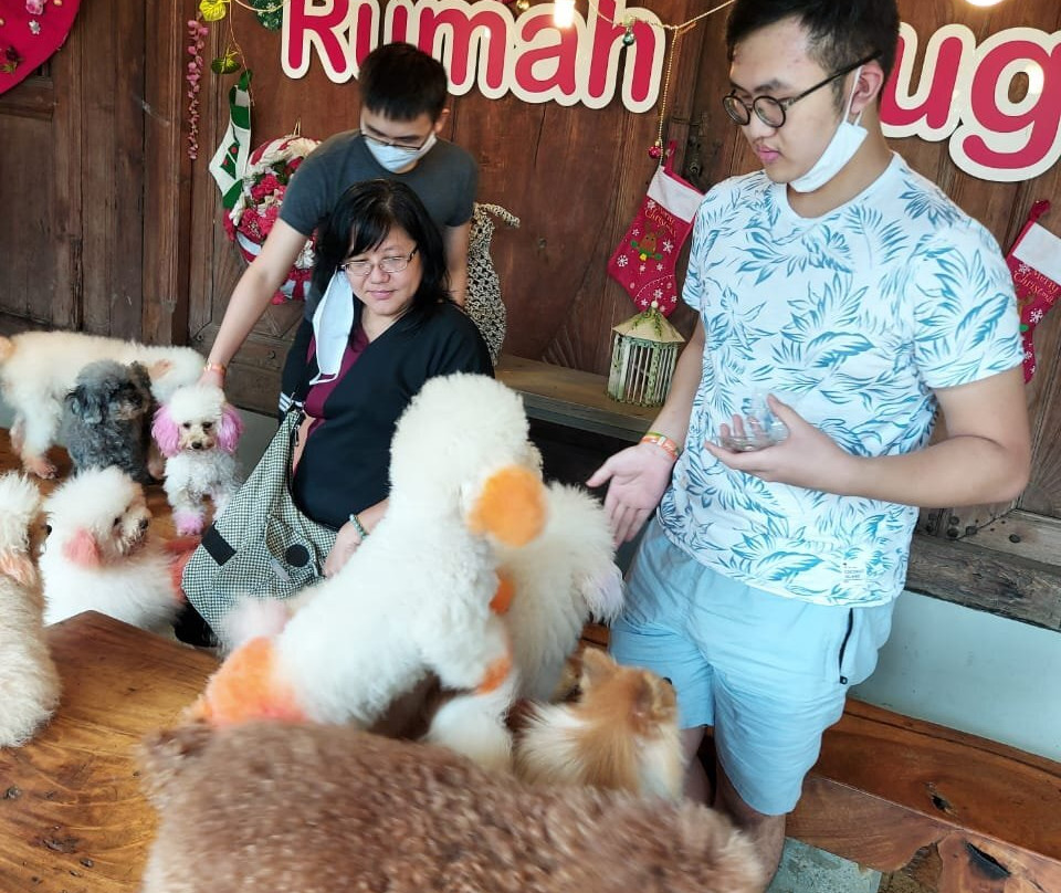 Rumah Guguk-万隆必去景点