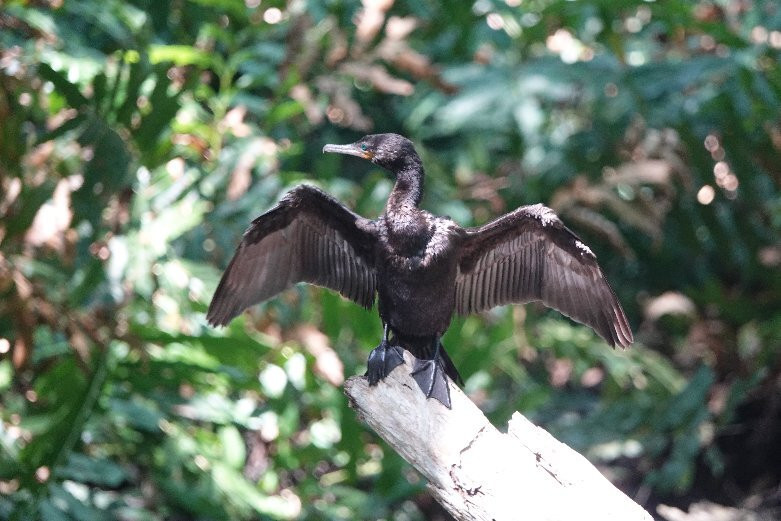 Circuito Ojo de Agua Baldiosera-塞莱斯顿必去景点
