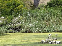 Leidam Bird Sanctuary-蒙提古必去景点