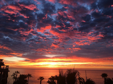 Cabo Suv Rentals-圣何塞卡波必去景点