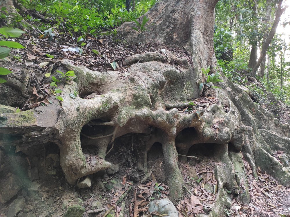 Bukit Wang-Jitra必去景点