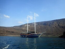 Dolphin Excursions Djibouti-吉布地必去景点