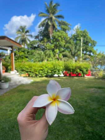 The Beach House主图