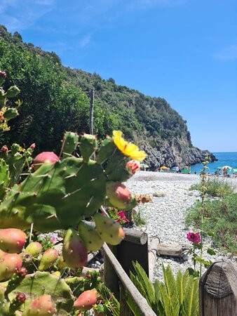 Spiaggia del Pozzallo景点图片