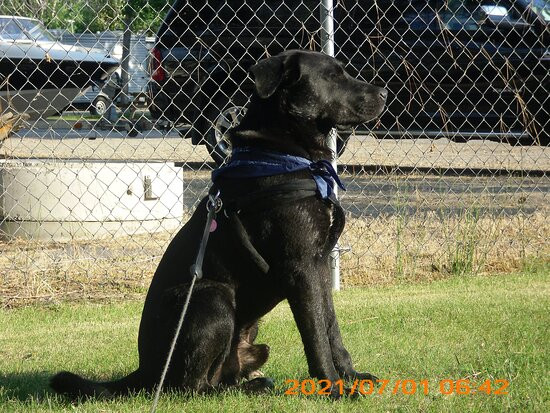 Edgewater Motel主图